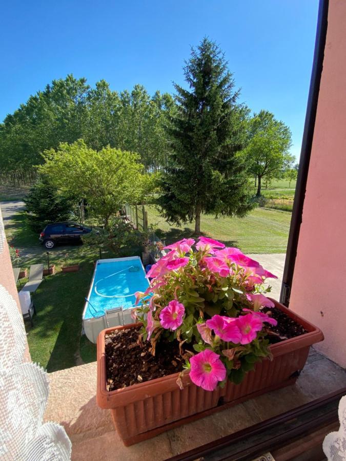 B&B Happiness In The Country Brescello Zewnętrze zdjęcie